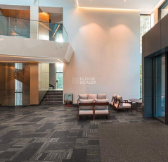 Forbo Coral Interior 1525 Prairie Dusk фото 2 | FLOORDEALER